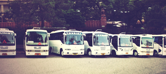 Luxury Coaches